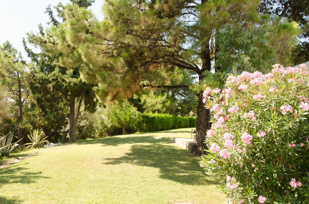 Angelbay Bungalows Agia Trias Exteriör bild